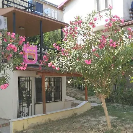 Beyazgul Willa *